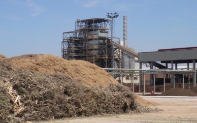 Curso de gases renovables y bioproductos a partir de biomasa