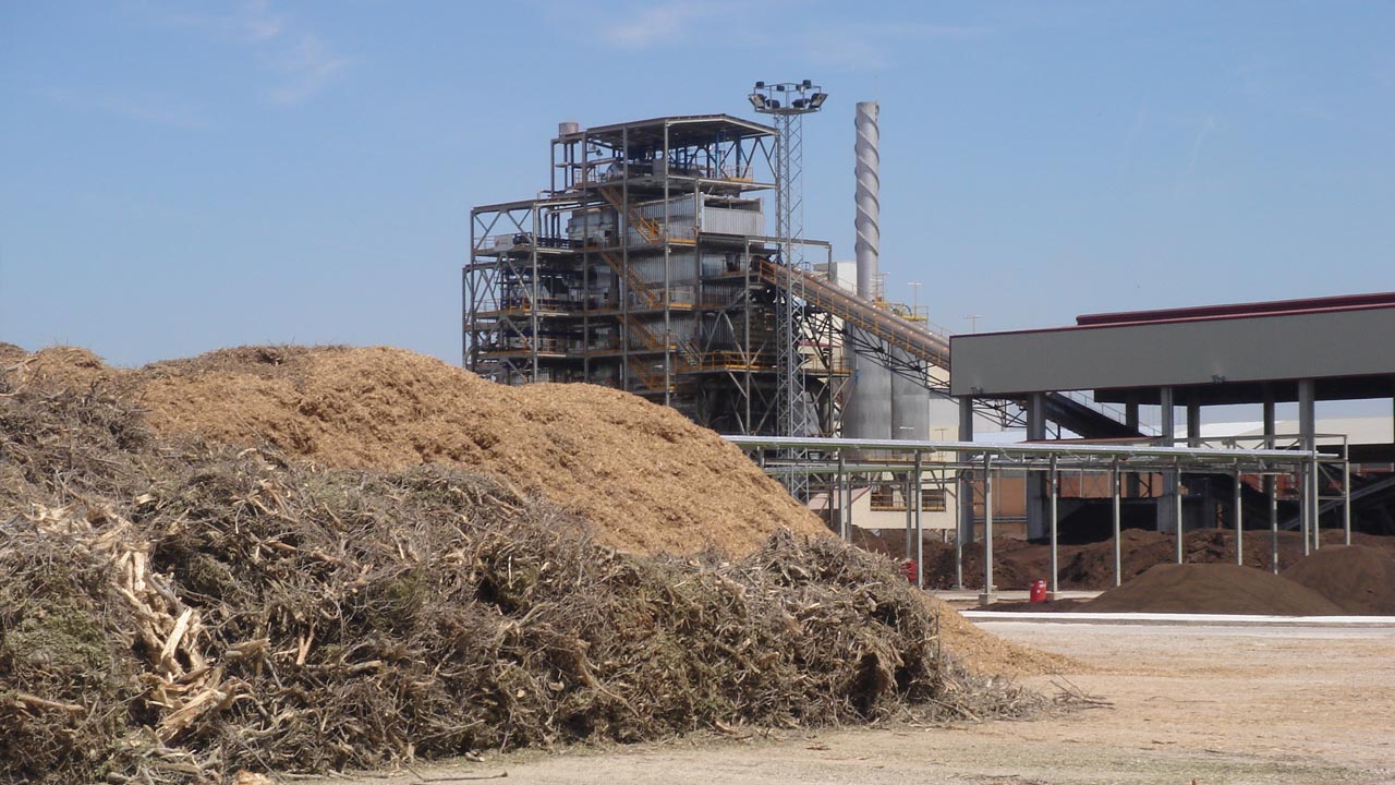 gases-bioproductos-biomasa-WP